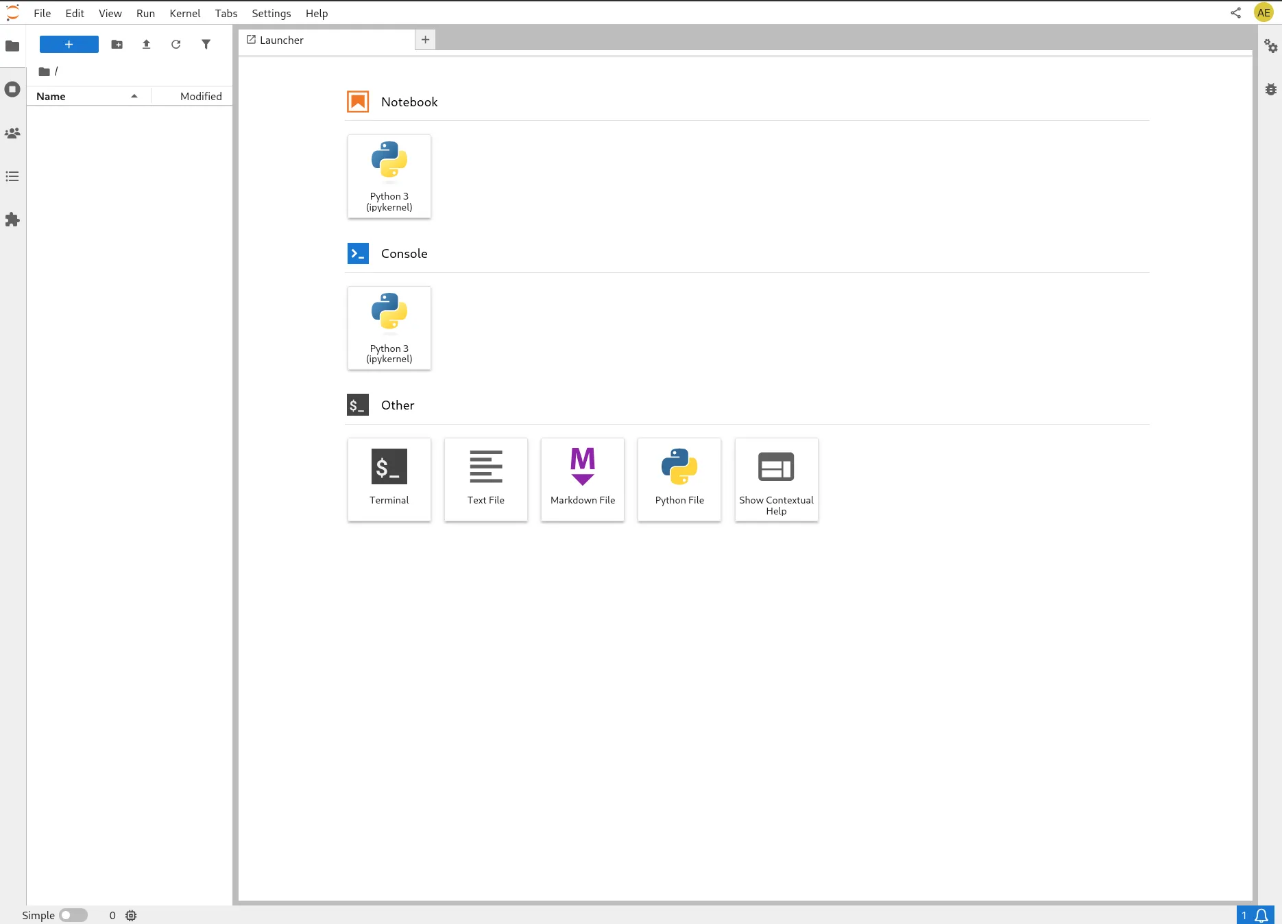 JupyterLab interface in browser