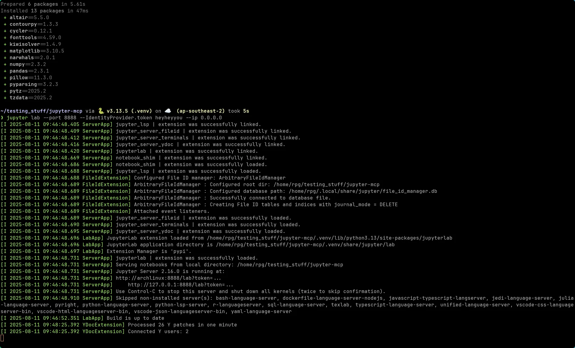 Terminal showing JupyterLab startup